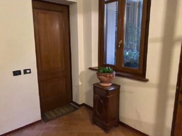 IMG_4011 1612951055 gallery 356x267