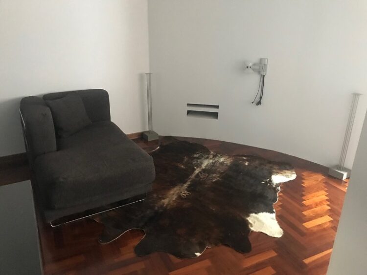 IMG_4810 1617110830 gallery 750x563