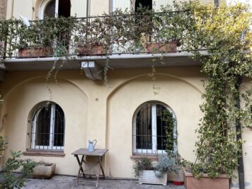 IMG 8480 1674813121 gallery 356x267