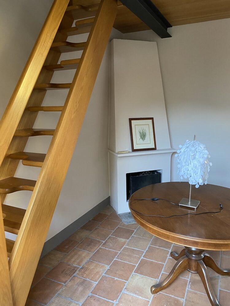 IMG 8488 1674813150 gallery 750x999