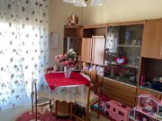 IMG_0954 1712739544 gallery 180x135