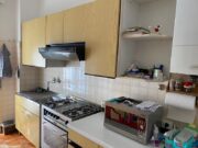 IMG_0958 1712739544 gallery 180x135