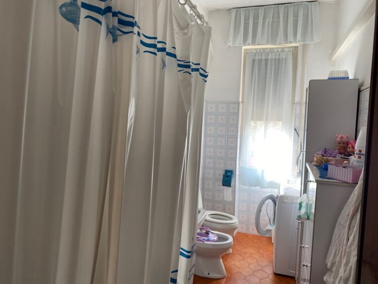 IMG_0963 1712739544 gallery 750x563