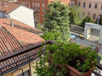 IMG_0966 1712739521 gallery 356x267