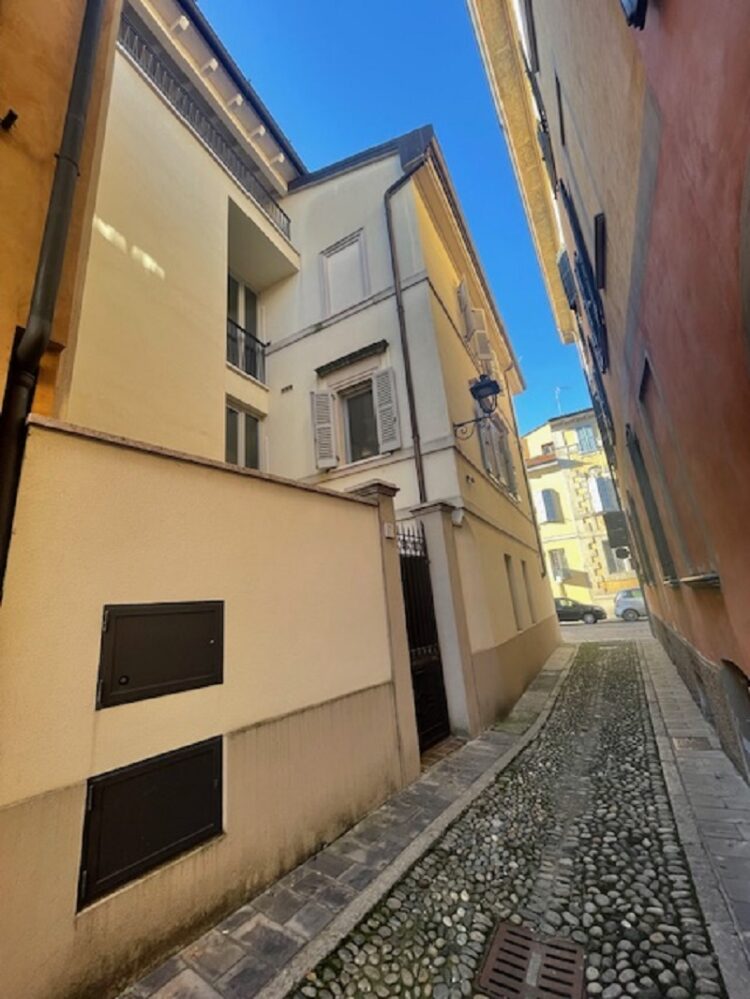 IMG_9062 1737536608 gallery 750x999