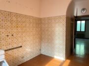 IMG_2556 1742204951 gallery 180x135