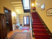 IMG_1774 1748502989 gallery 180x135