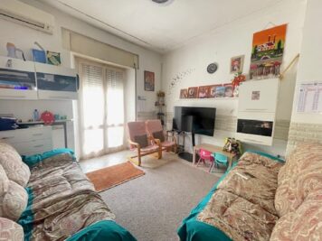 IMG_1580 1749484216 gallery 356x267