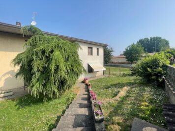 IMG_1777 1749806090 gallery 356x267