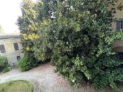 IMG_1995 1751011502 gallery 180x135