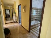 IMG_1391 1751875526 gallery 180x135