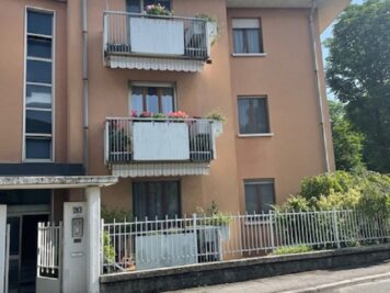 IMG_1414 1751875599 gallery 356x267