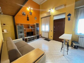 IMG_3764 1758637427 gallery 356x267