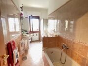 IMG_3916 1759163122 gallery 180x135