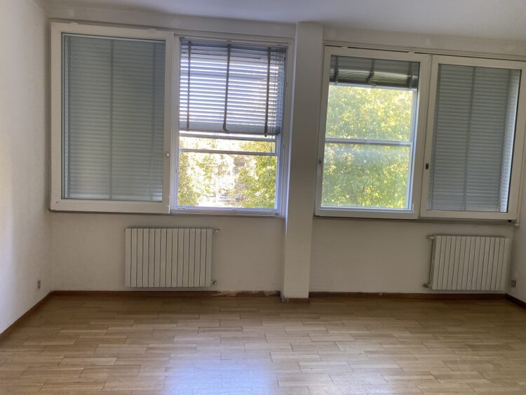 IMG_3881 1761664847 gallery 750x563