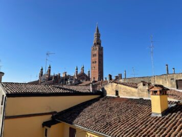 IMG_4131 1759826668 gallery 356x267