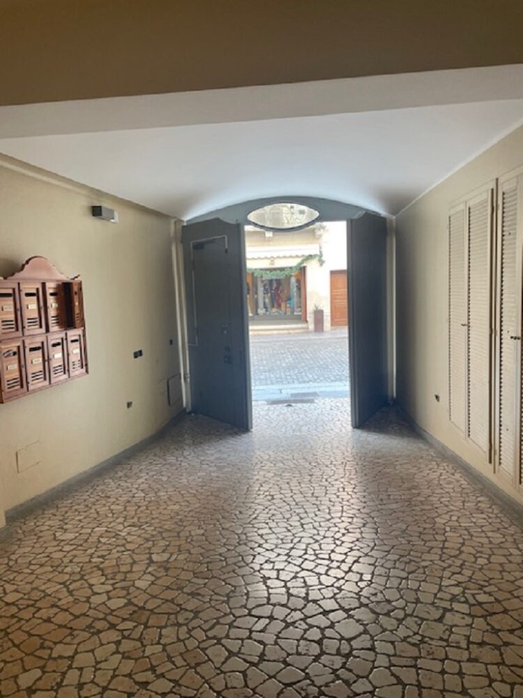 IMG_4676 1762357448 gallery 750x1000