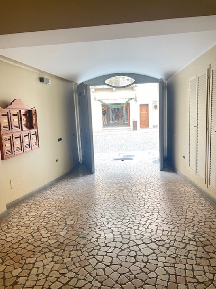 IMG_4677 1762357448 gallery 750x1000