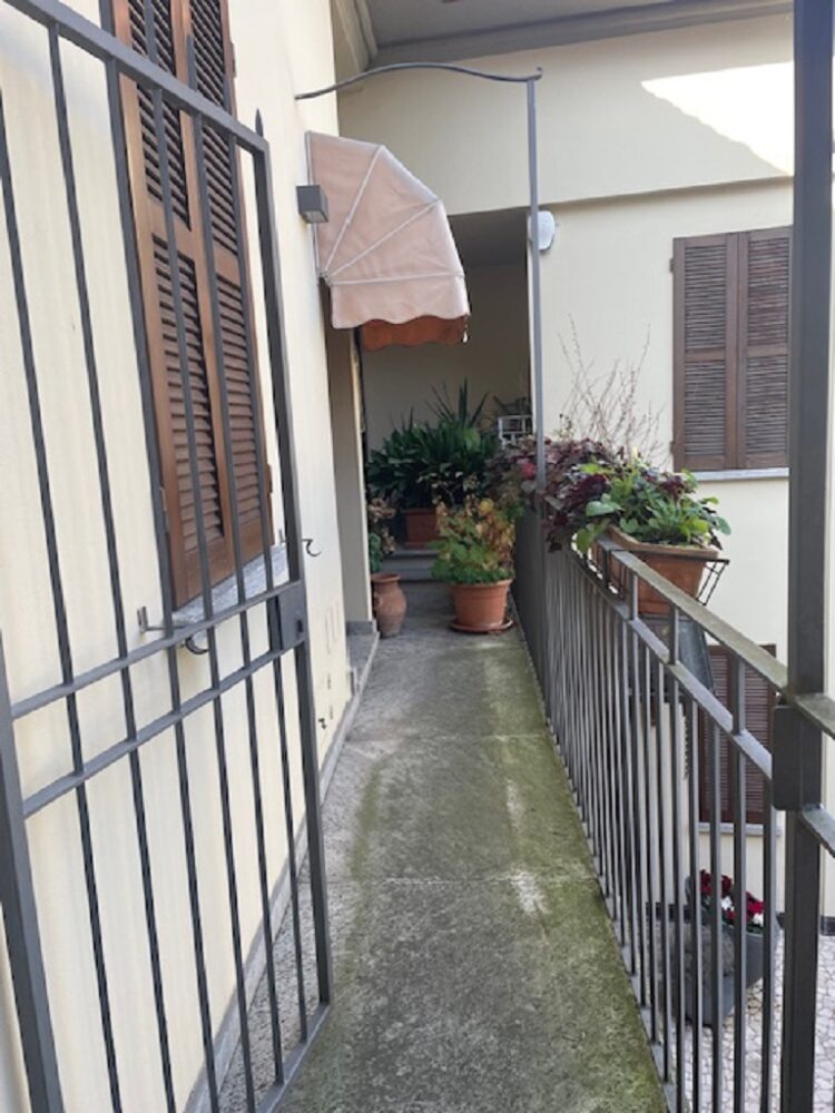 IMG_4682 1762357466 gallery 750x1000