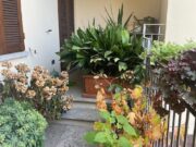 IMG_4683 1762357466 gallery 180x135