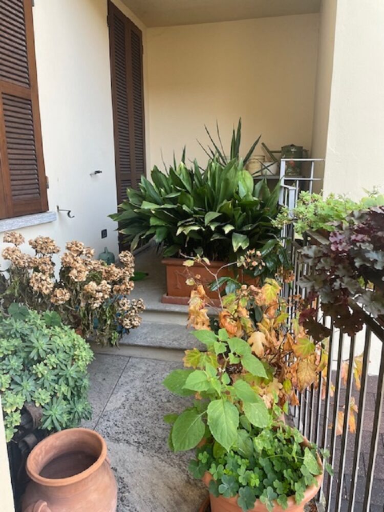 IMG_4683 1762357466 gallery 750x1000