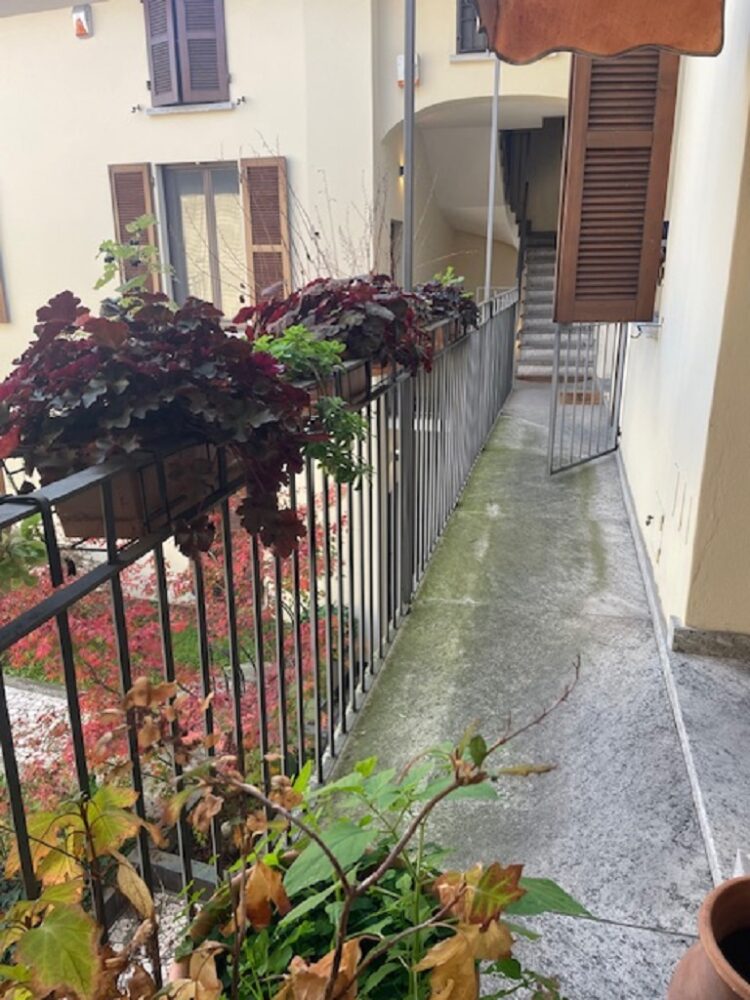 IMG_4684 1762357466 gallery 750x1000