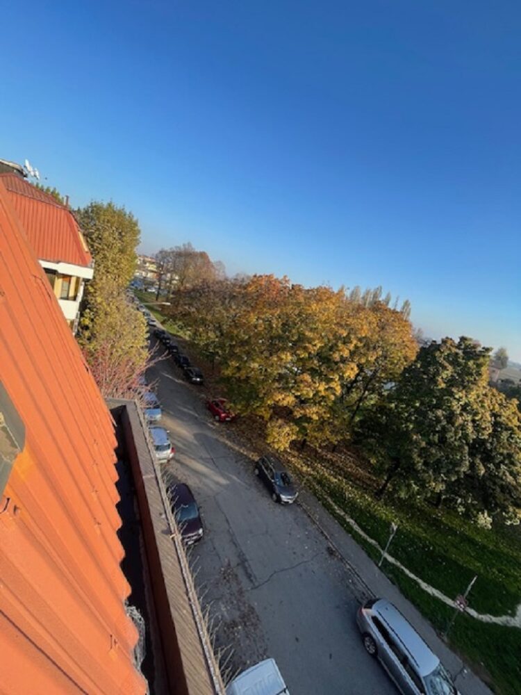 IMG_4723 1762504878 gallery 750x1000