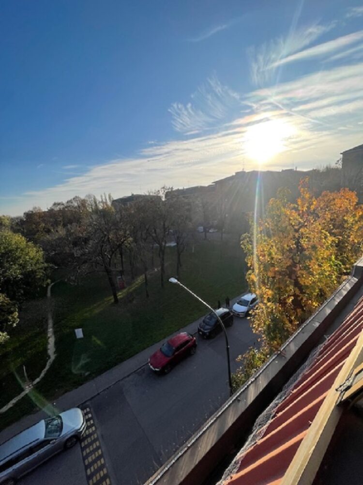 IMG_4724 1762504878 gallery 750x1000