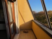 IMG_4725 1762504878 gallery 180x135