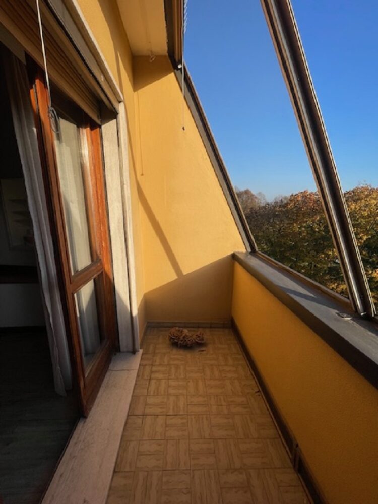 IMG_4725 1762504878 gallery 750x1000