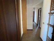 IMG_4729 1762504878 gallery 180x135