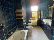 IMG_4731 1762504895 gallery 180x135