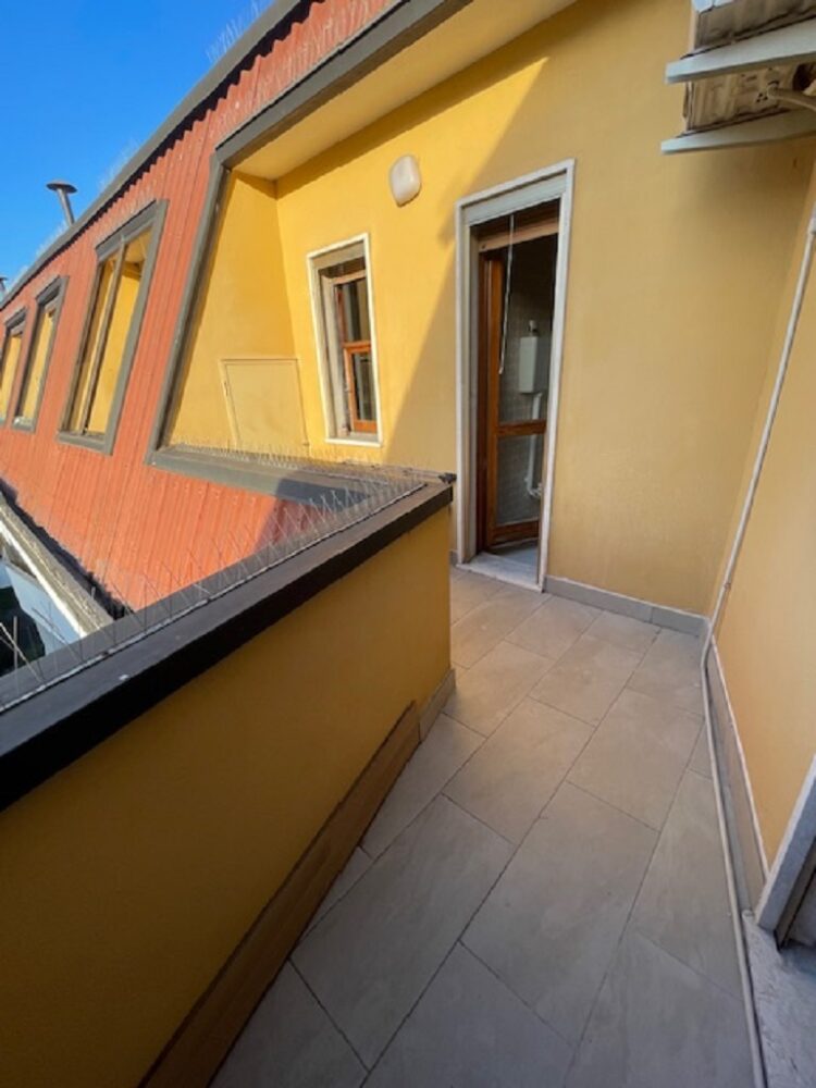 IMG_4739 1762504895 gallery 750x1000