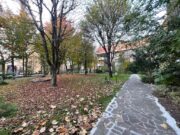 IMG_4749 1762504918 gallery 180x135