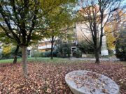 IMG_4750 1762504918 gallery 180x135