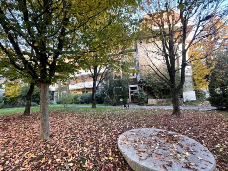 IMG_4750 1762504918 gallery 750x563