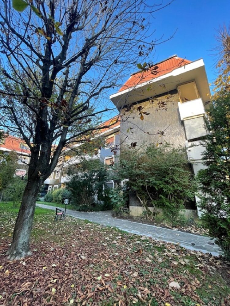 IMG_4751 1762504918 gallery 750x1000