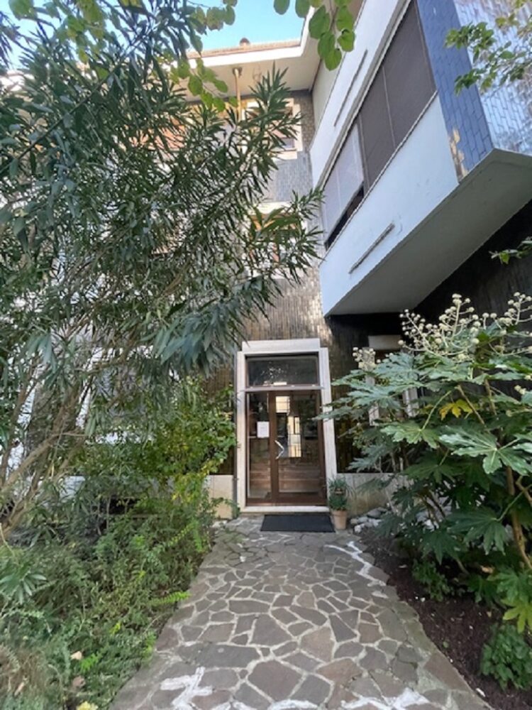 IMG_4752 1762504918 gallery 750x1000