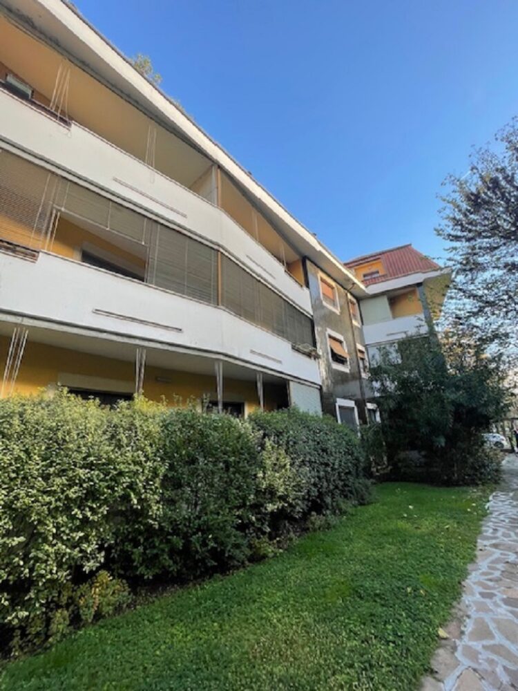 IMG_4753 1762504918 gallery 750x1000