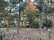 IMG_4754 1762504945 gallery 180x135