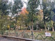 IMG_4755 1762504945 gallery 180x135