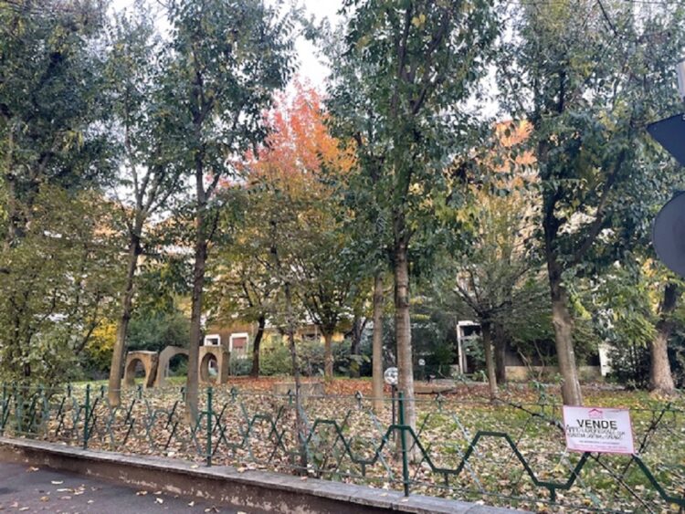 IMG_4755 1762504945 gallery 750x563