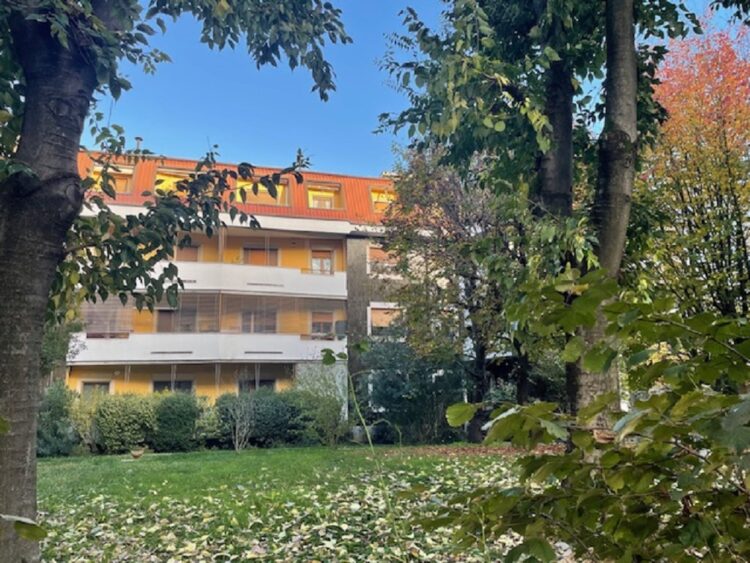 IMG_4756 1762504945 gallery 750x563