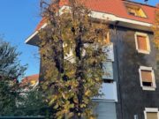 IMG_4758 1762504945 gallery 180x135