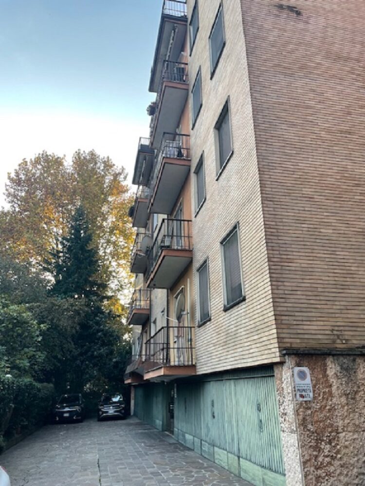 IMG_4831 1762937223 gallery 750x1000