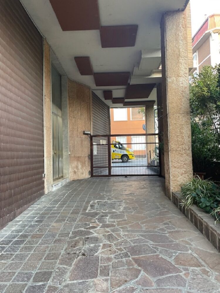 IMG_4832 1762937223 gallery 750x1000