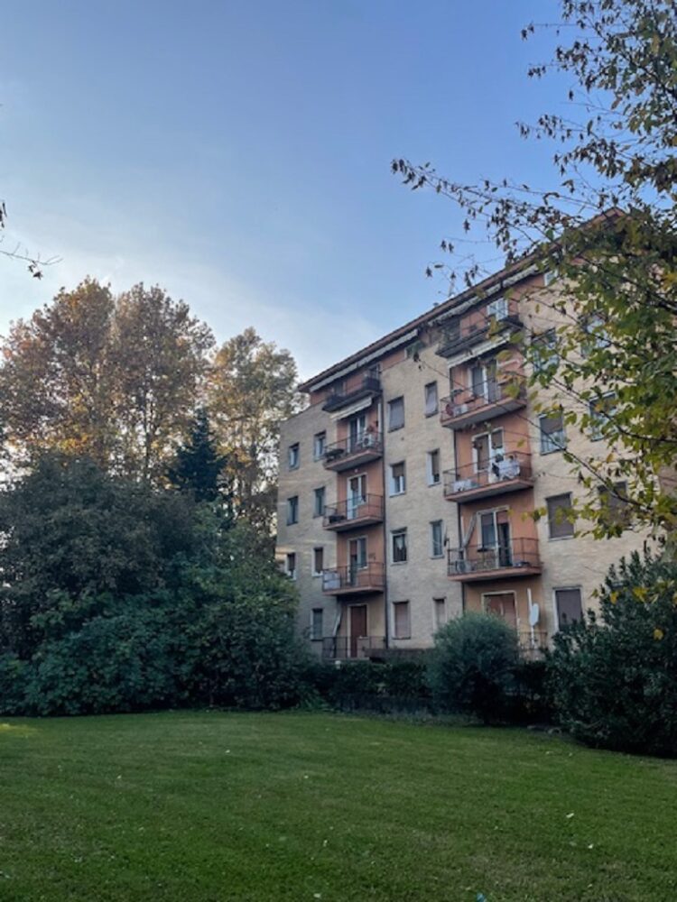 IMG_4834 1762937223 gallery 750x1000