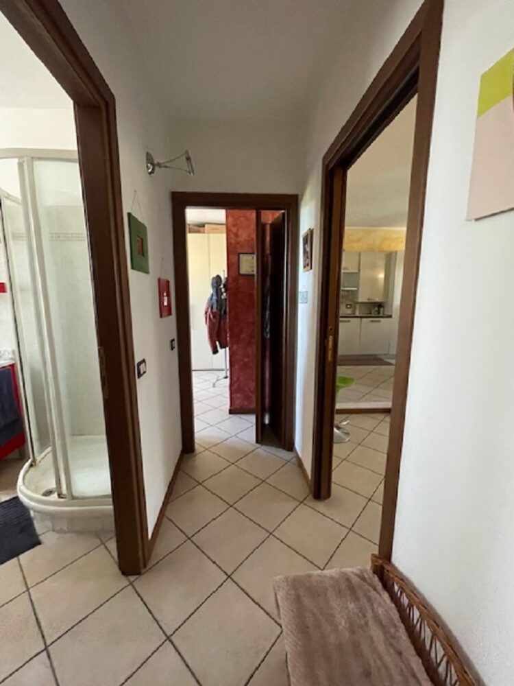 IMG_4973 1764169981 gallery 750x1000