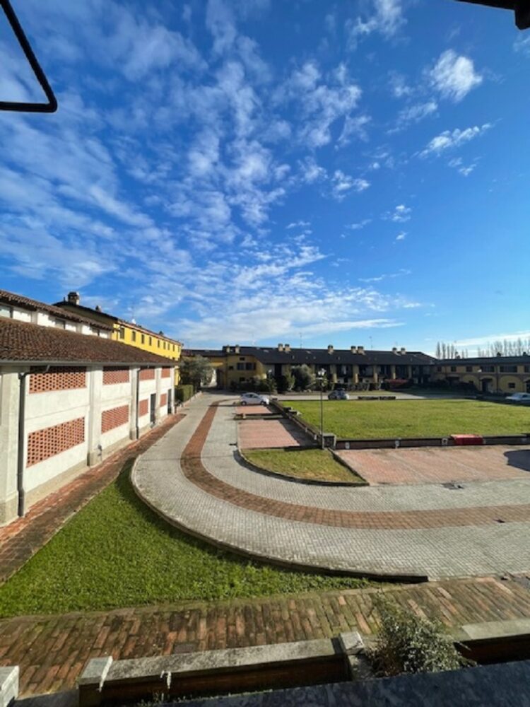 IMG_4979 1764169999 gallery 750x1000