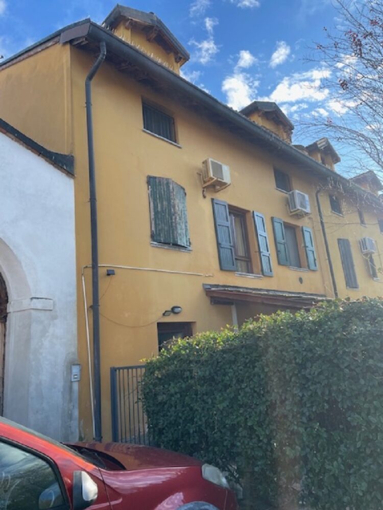 IMG_4984 1764169999 gallery 750x1000